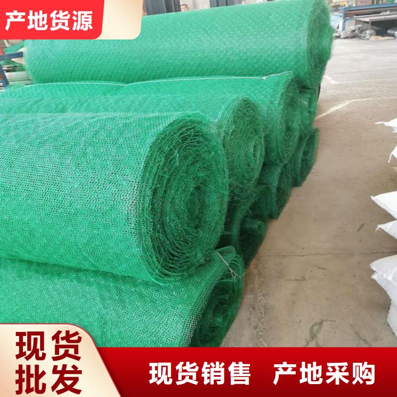 三維植被網環保邊坡