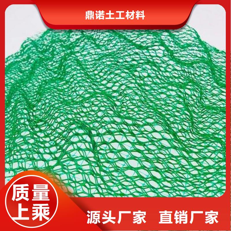 三維植被網塑料土工格柵現貨充裕