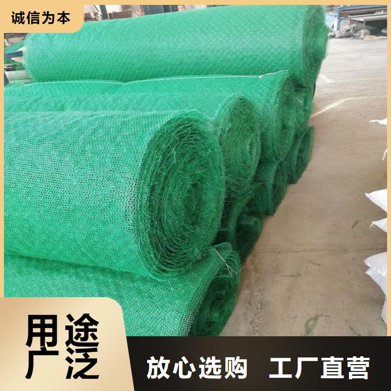 三維土工網墊施工指導