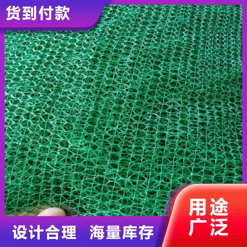 EM3三維加筋網(wǎng)墊-加筋三維植被網(wǎng)