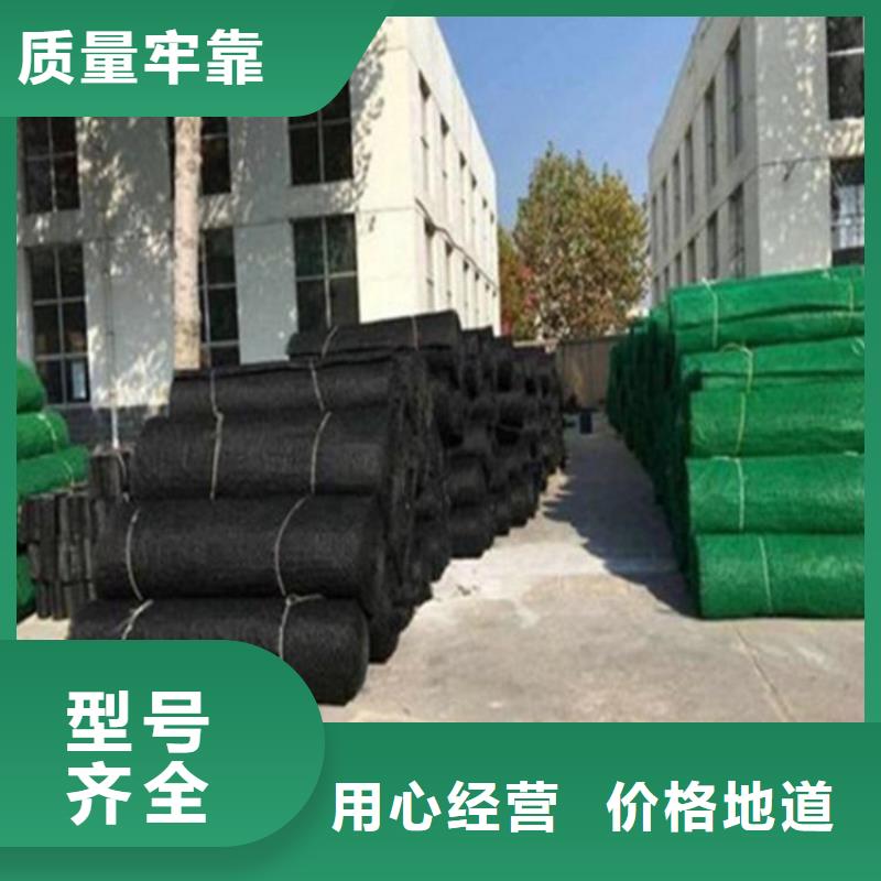 環保加筋三維土工網墊
