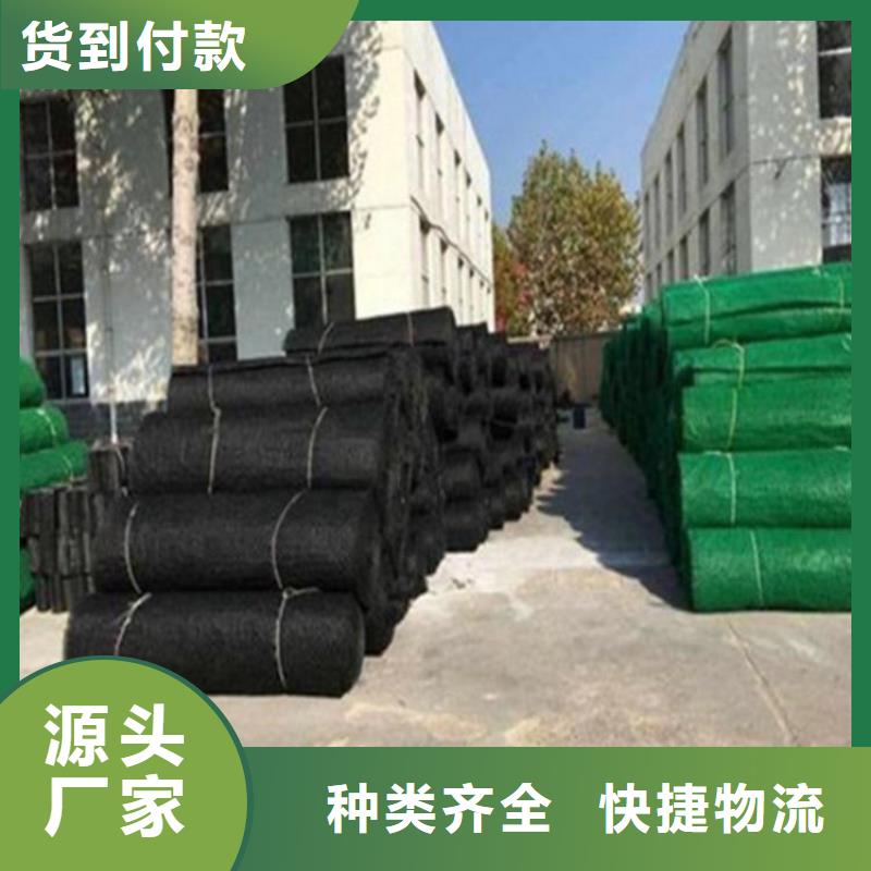 三維土工網(wǎng)墊-三維護(hù)坡植草網(wǎng)墊