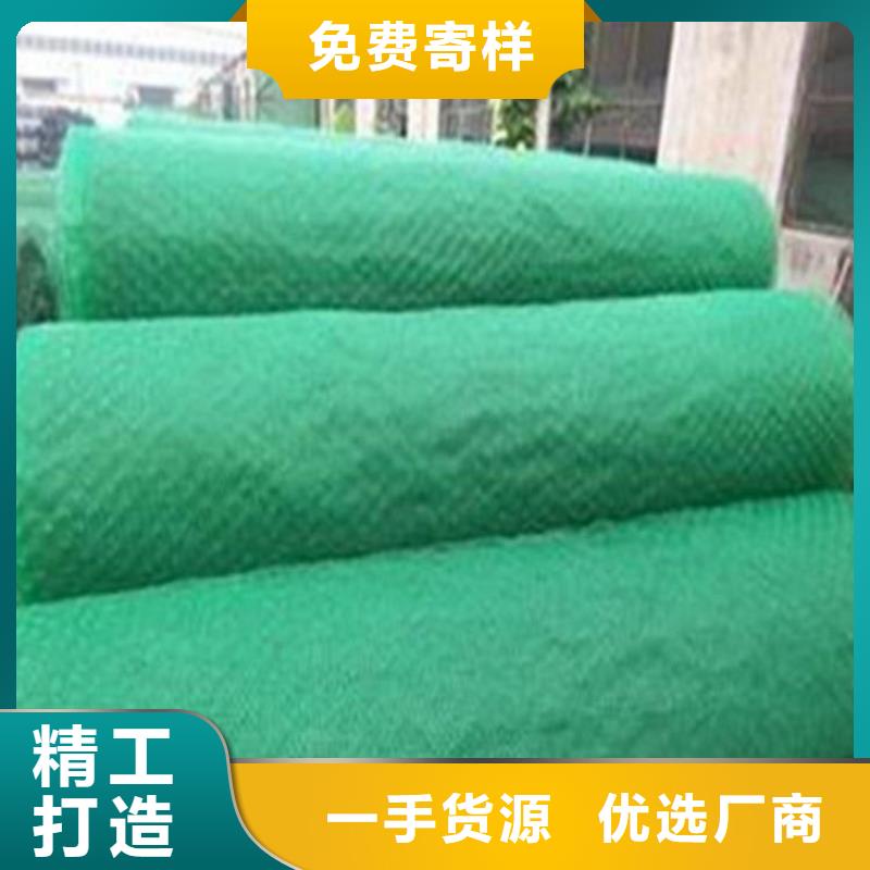 三維土工網墊-三維固土網墊