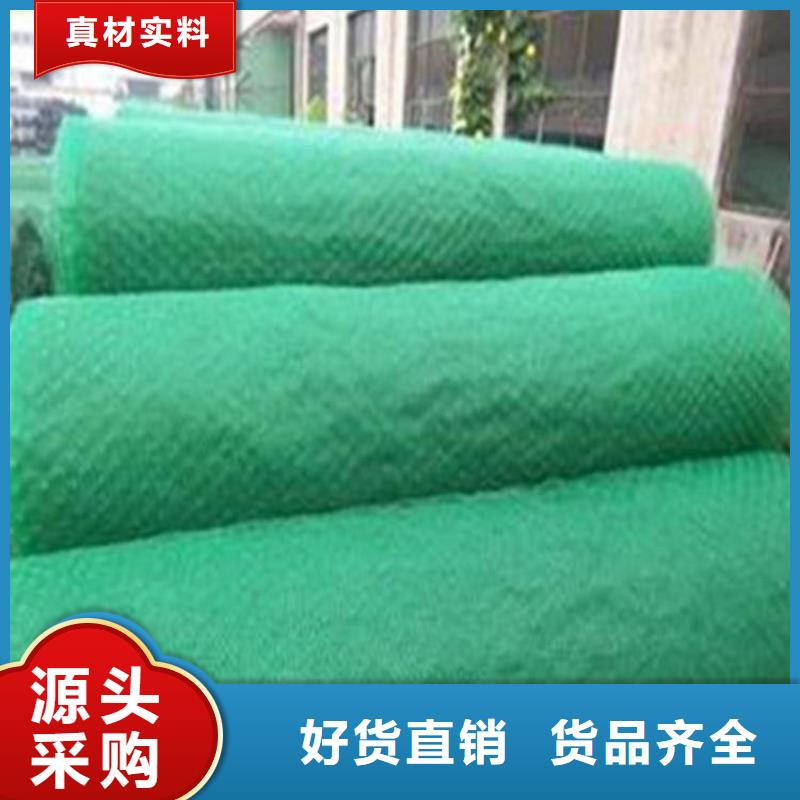 三維植被網(wǎng)塑料土工格柵制造廠家