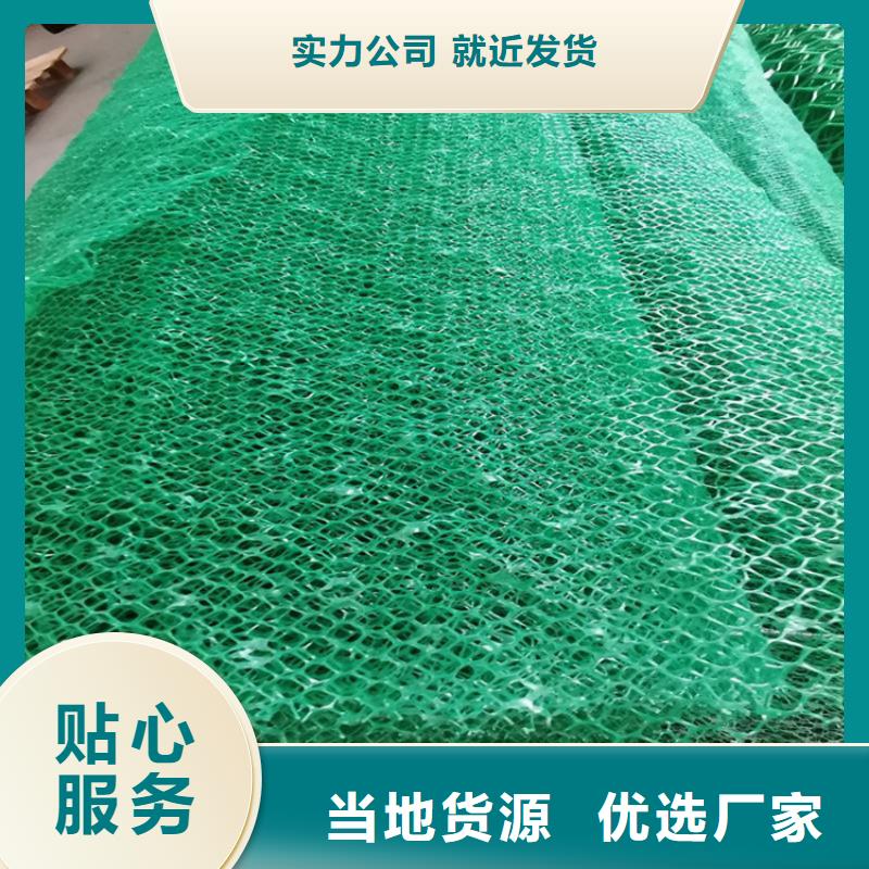 三维植被网-拉筋带价格低
