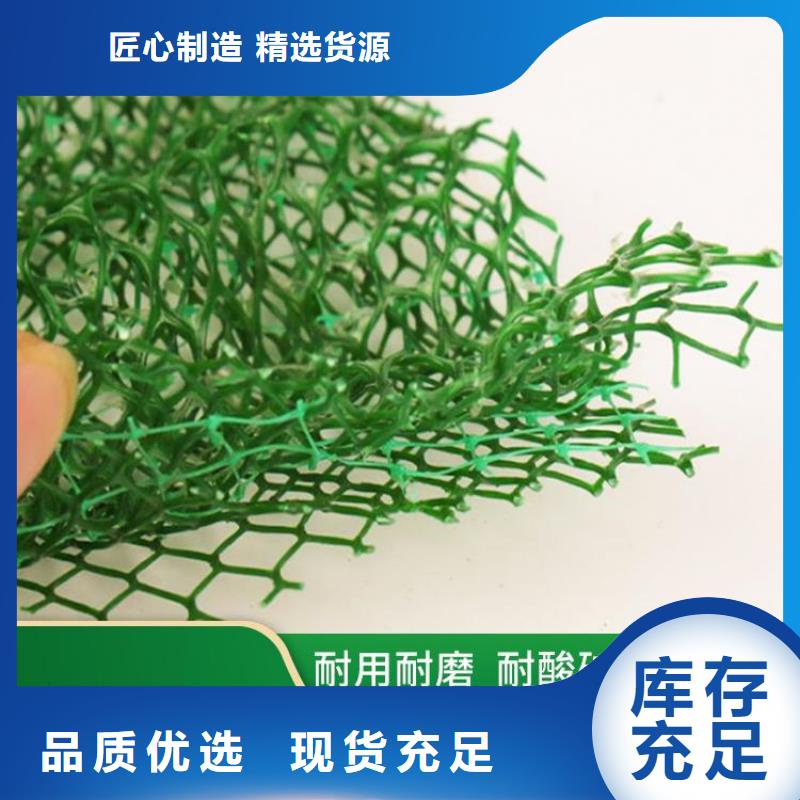 三維植被網(wǎng)大廠生產(chǎn)品質(zhì)