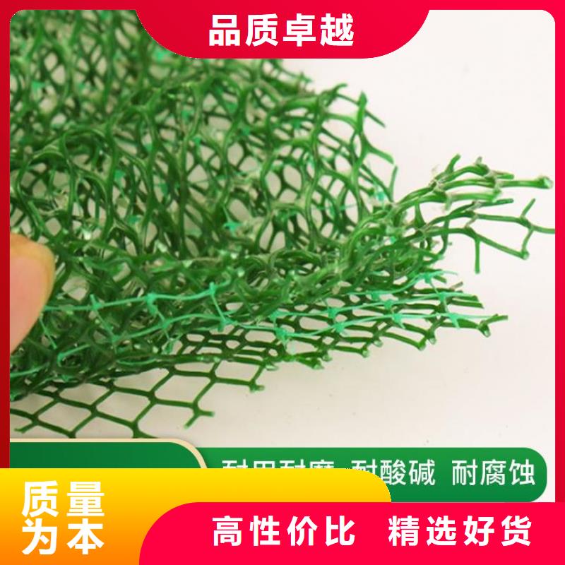 三維土工網(wǎng)墊-三維固土網(wǎng)墊