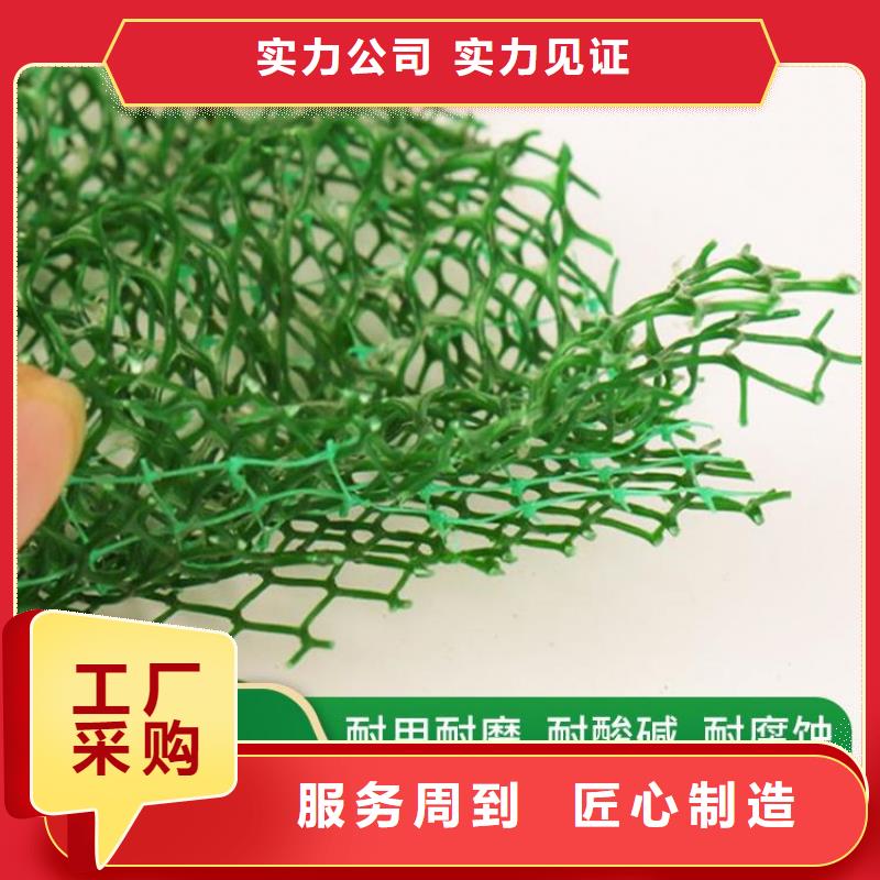 三維土工網墊-EM4三維護坡植草網墊