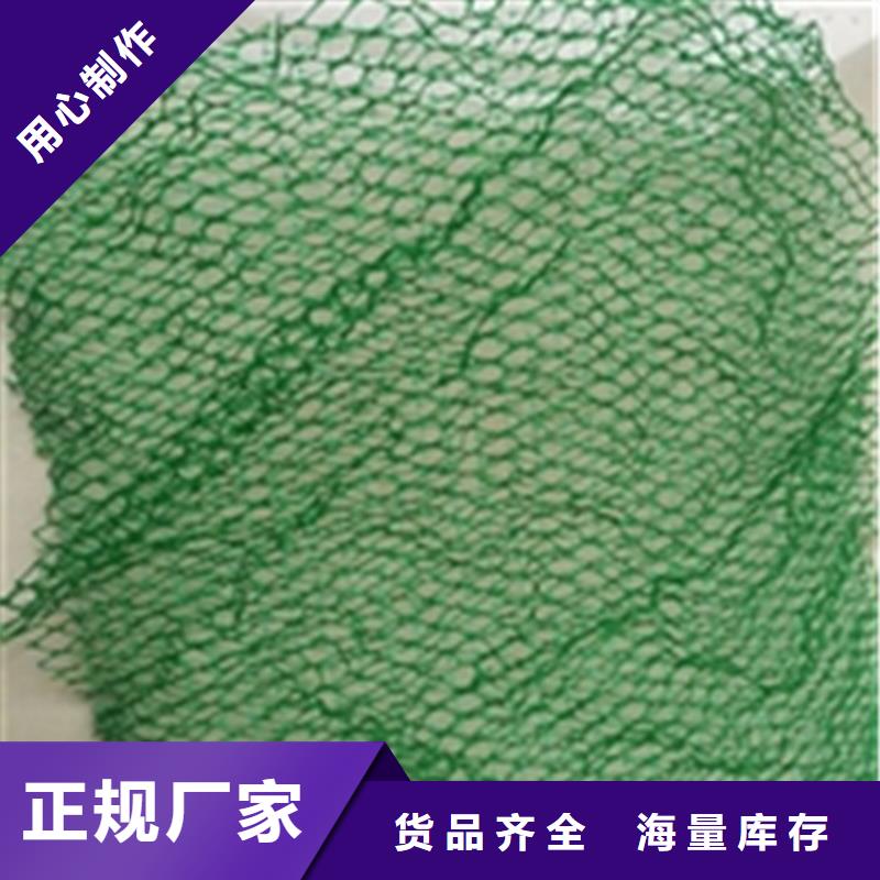 護坡植被植草網綠化護坡