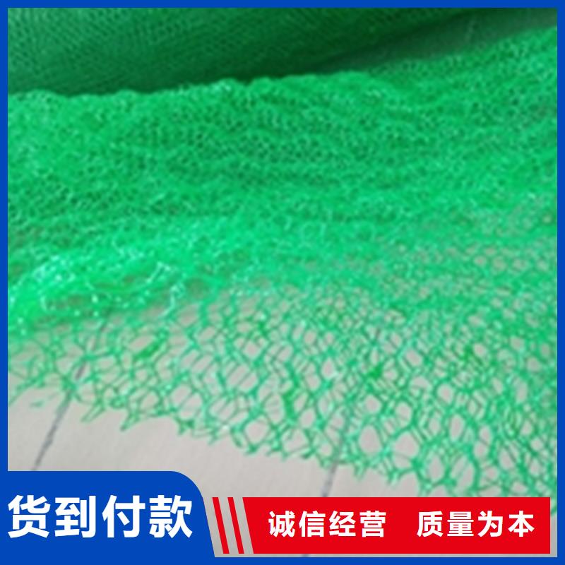 三維固土網(wǎng)墊批發(fā)市場