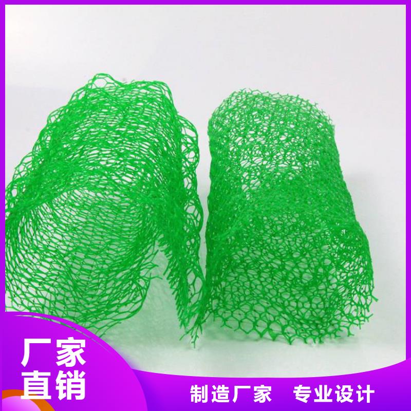 EM4三維護坡植草網墊廠家-公司代理
