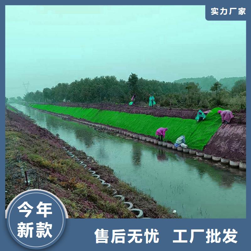 三維植被網(wǎng)塑料土工格柵制造廠家