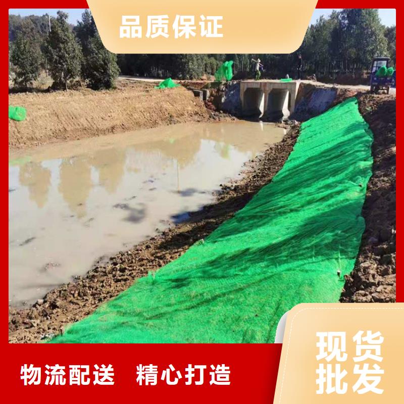 三維植被網(wǎng)-EM3三維固土網(wǎng)墊