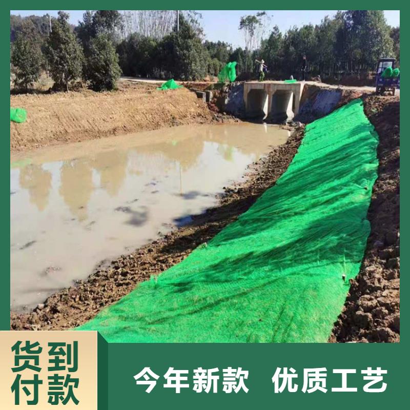 EM5三維護坡植草網墊-三維網植草護坡