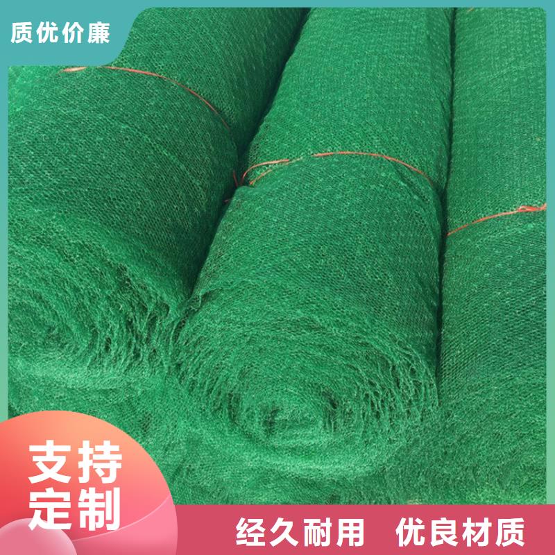 三維植草網(wǎng)墊塑料固土