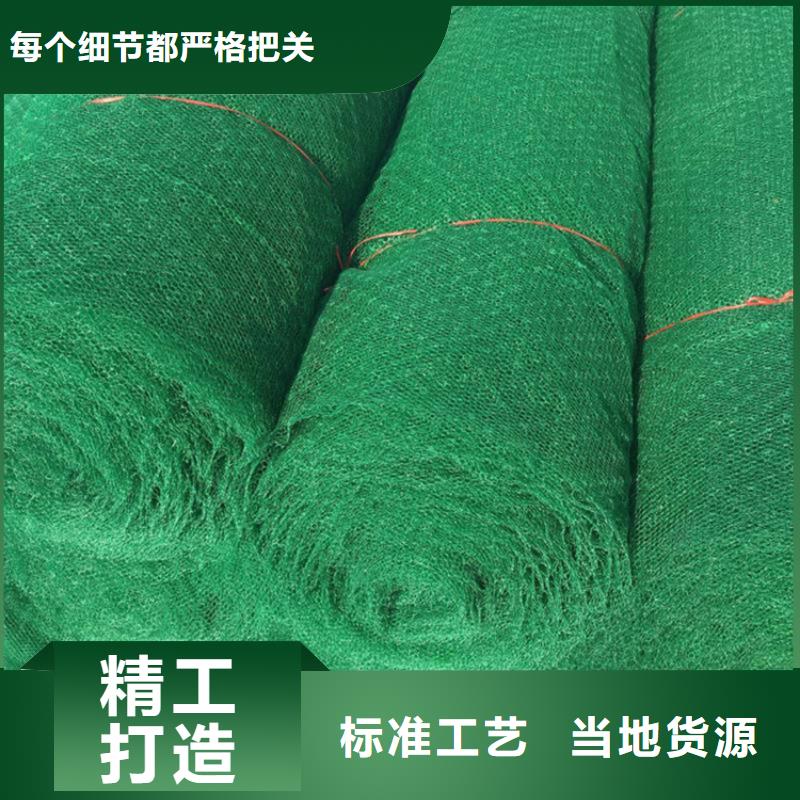 三維植被網_【土工格室】品質信得過