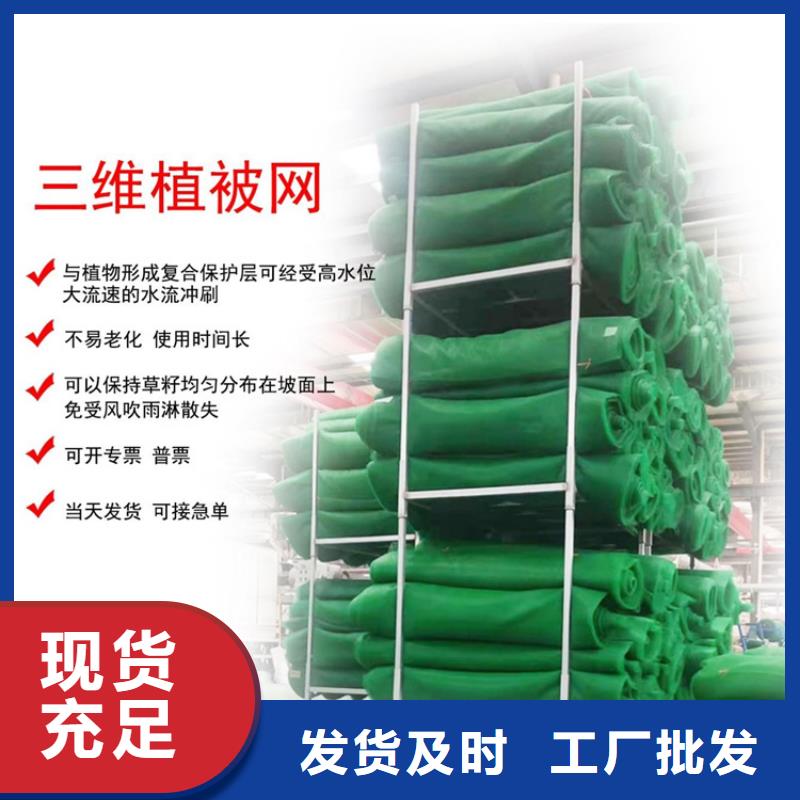 EM3三維固土網(wǎng)墊