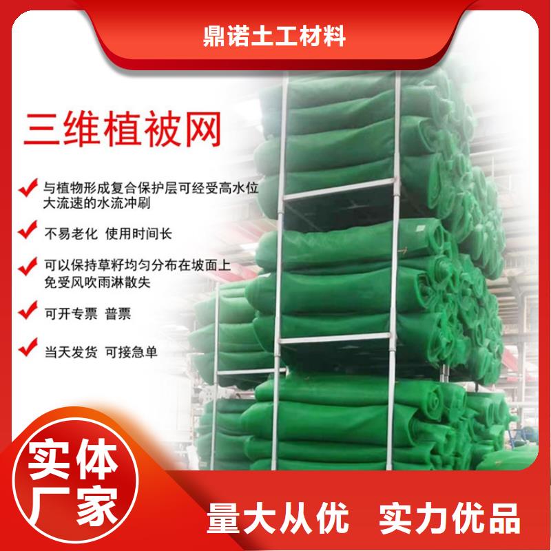 三維植被網(wǎng)-EM3三維土工網(wǎng)墊