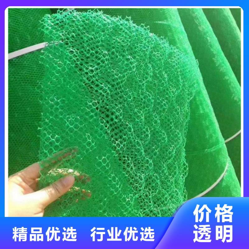 三維植被網土工膜質量不佳盡管來找我