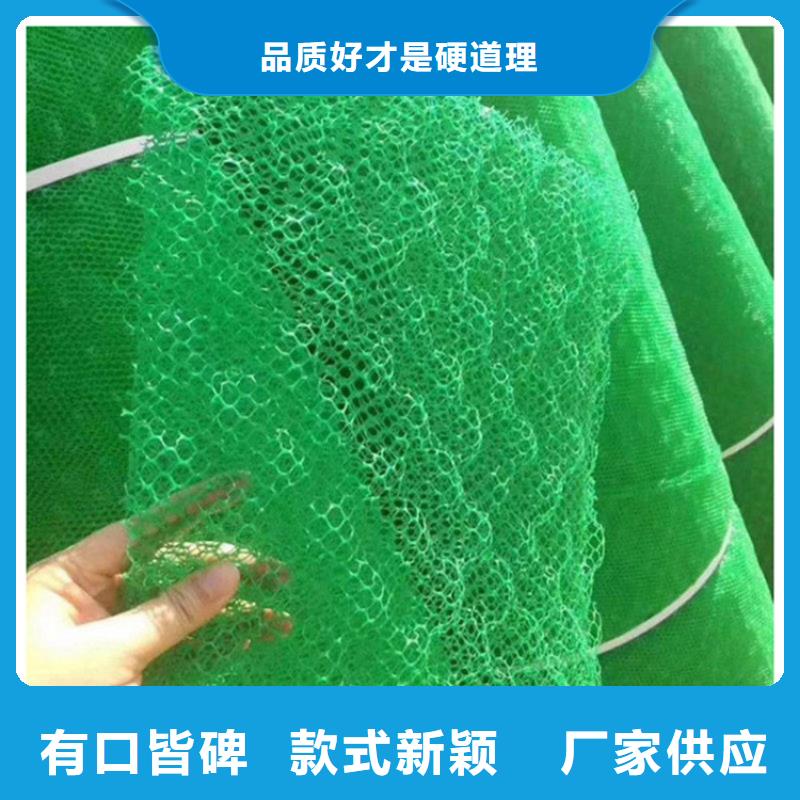 三維植被網(wǎng)塑料土工格柵現(xiàn)貨充裕