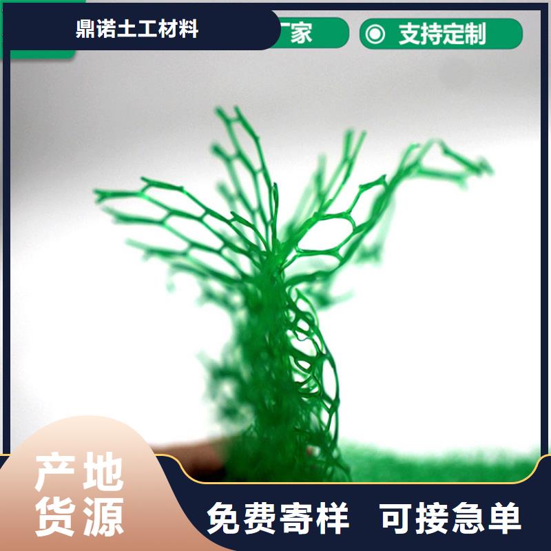 三維植被網環保邊坡