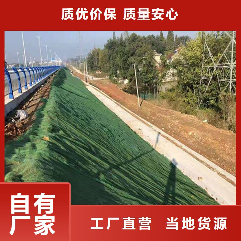 EM3三維加筋網(wǎng)墊規(guī)格顏色