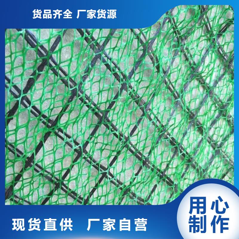 三維植被網-EM3三維固土網墊