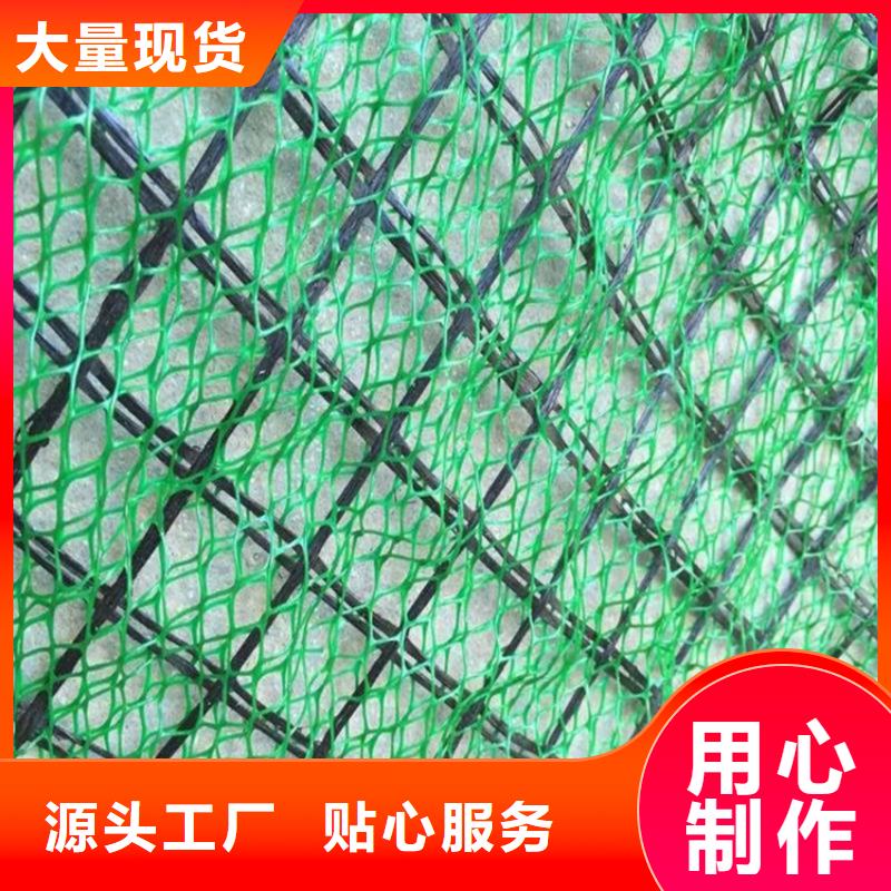 三維土工網(wǎng)墊-三維固土網(wǎng)墊