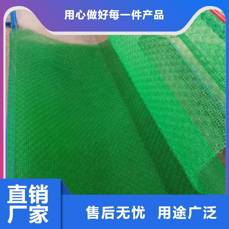 EM5三維護坡植草網墊代理