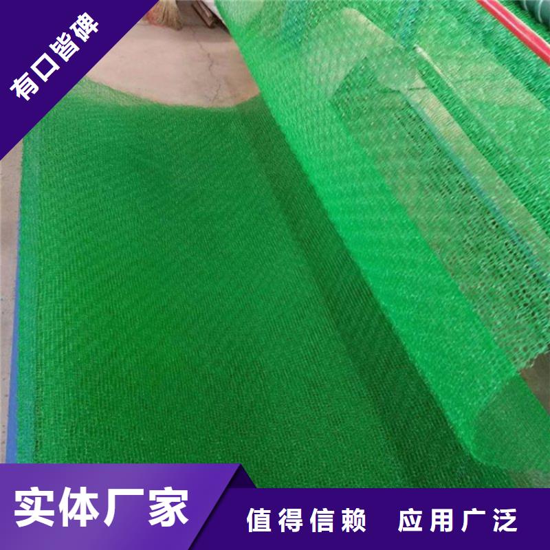 護(hù)坡植被植草網(wǎng)綠化護(hù)坡