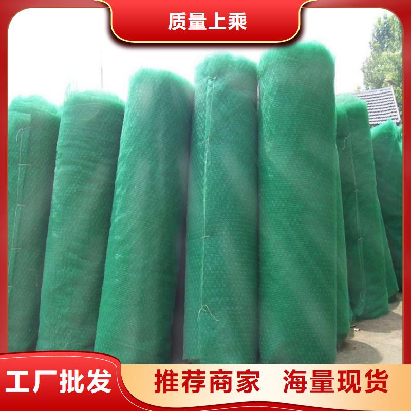 三維固土網(wǎng)墊EM2三維植被網(wǎng)