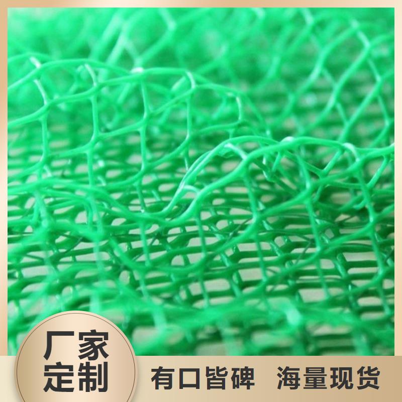 三維土工網墊邊坡固土