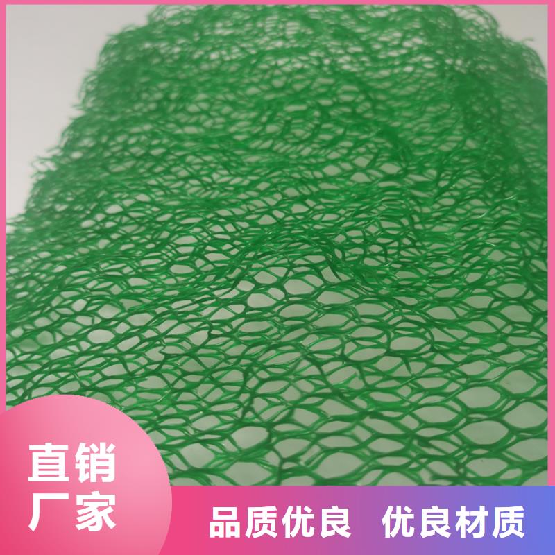 三維植草網墊綠化邊坡