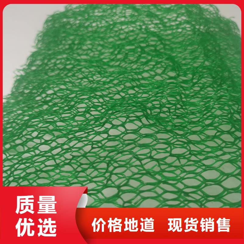 三維土工網(wǎng)墊-EM3三維固土網(wǎng)墊