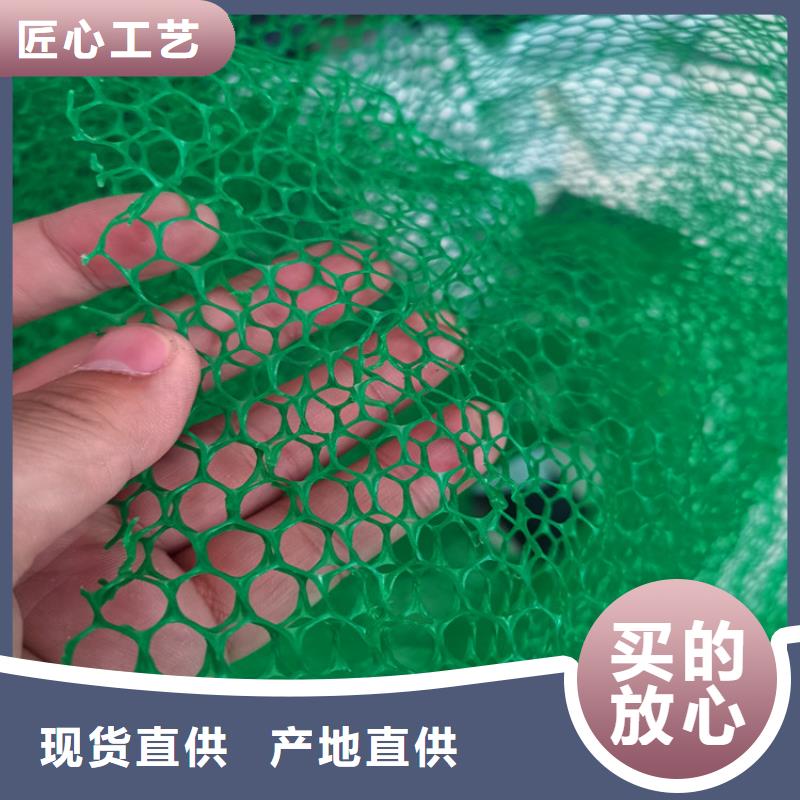 三維植被網塑料土工格柵現貨充裕