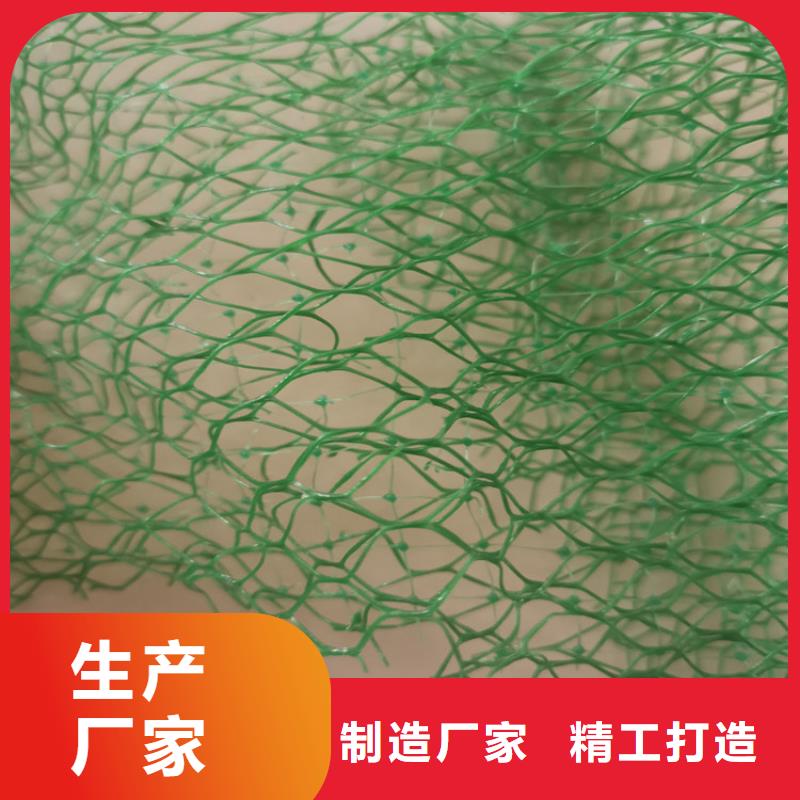 三維土工網墊-EM4三維護坡植草網墊