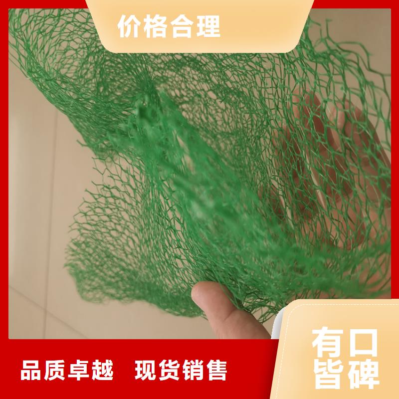 三維固土網(wǎng)墊三維加筋網(wǎng)墊