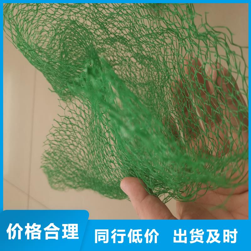三維植草網(wǎng)墊塑料固土