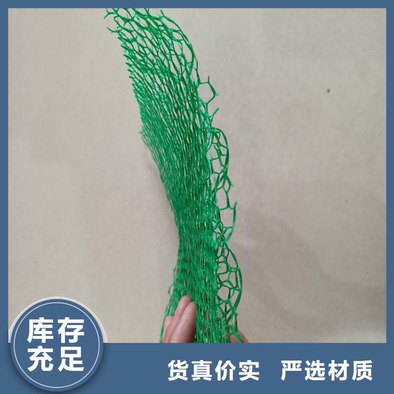 三維植被網土工膜廠家技術完善