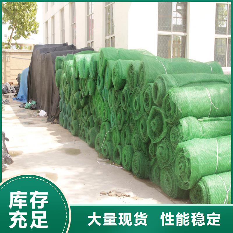 塑料固土三維植被網(wǎng)
