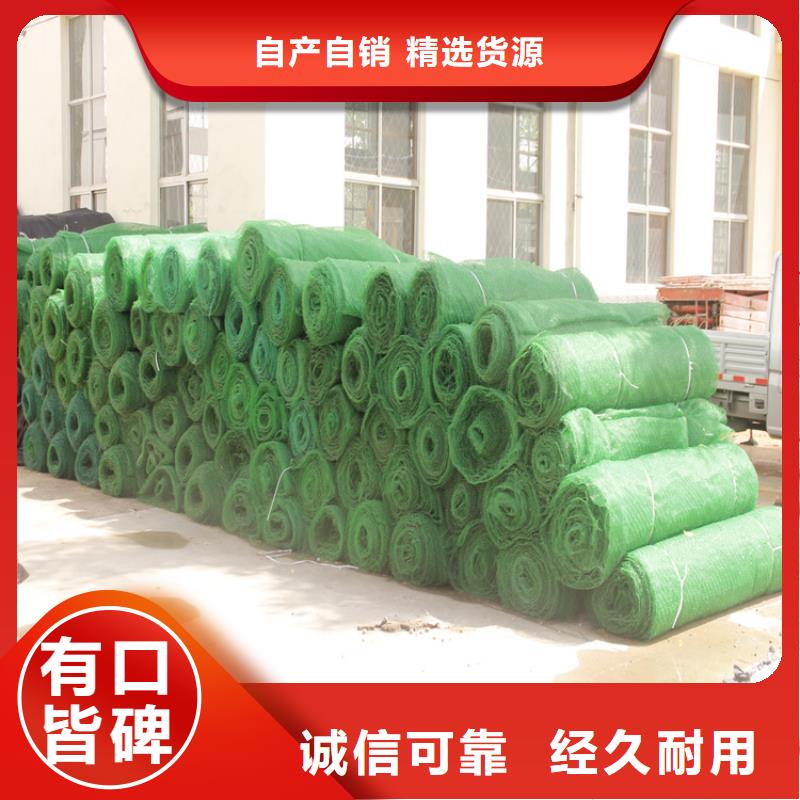 三維植被網土工膜廠家技術完善