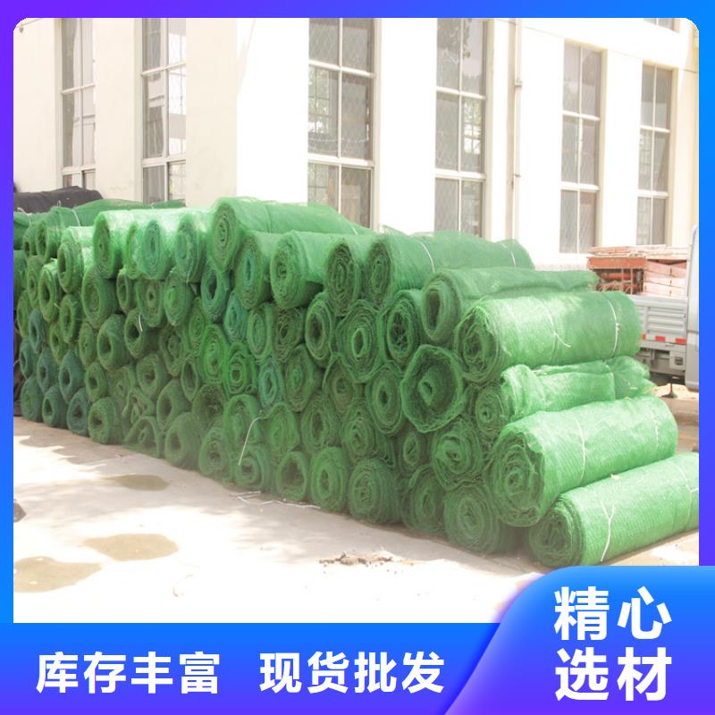 三維植被網塑料土工格柵現貨充裕