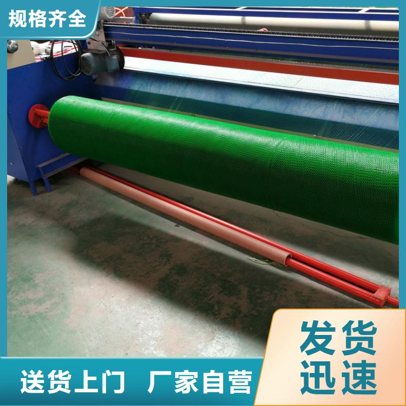 三維植被網土工膜質量不佳盡管來找我