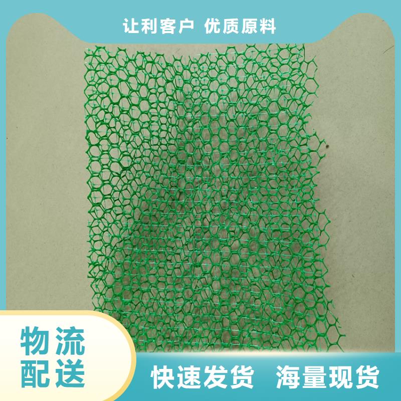 三維植被網(wǎng)塑料土工格柵制造廠家