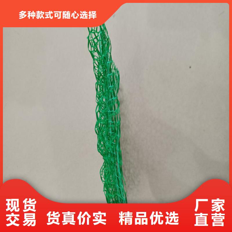 三維植被網_【土工格室】品質信得過