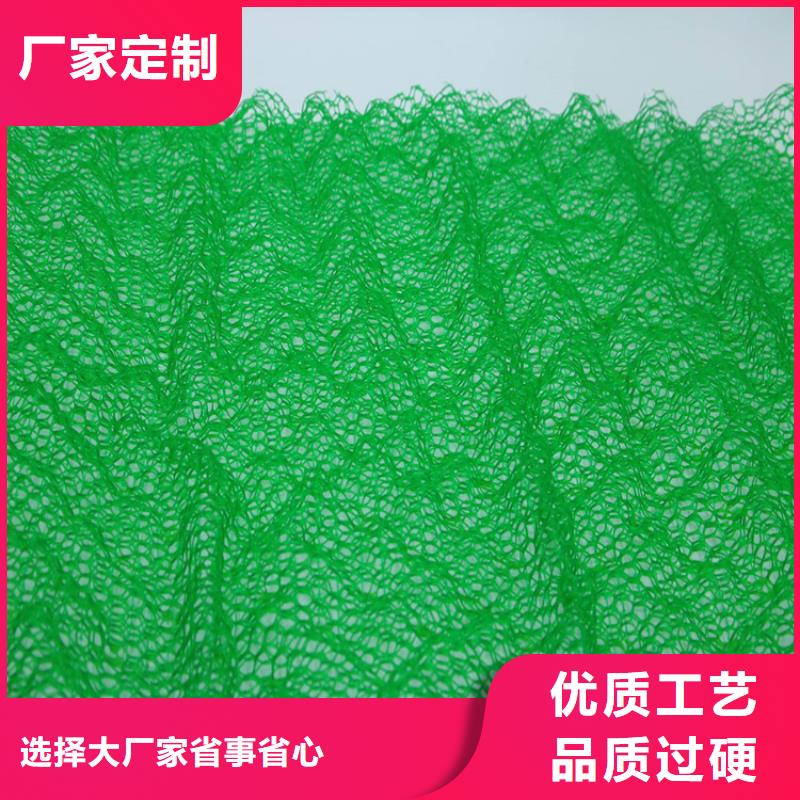 三維植被網_【土工格室】品質信得過