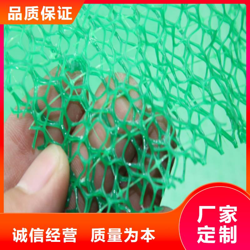 【三維植被網(wǎng)】土工膜技術(shù)先進(jìn)
