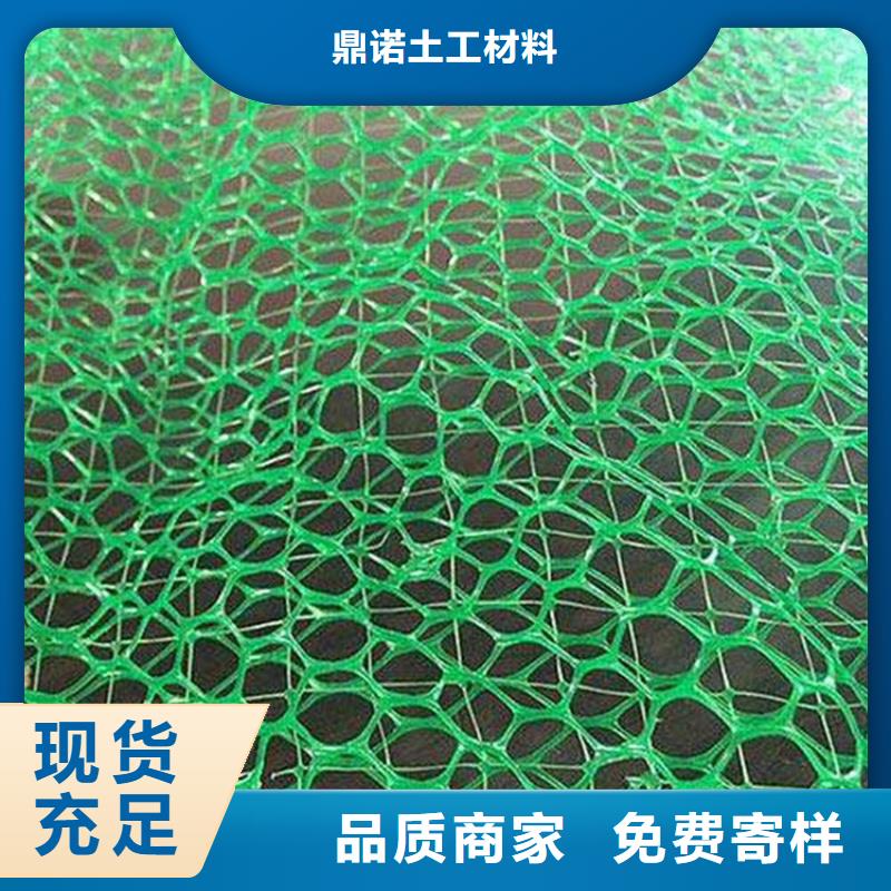 三維植被網土工膜廠家技術完善