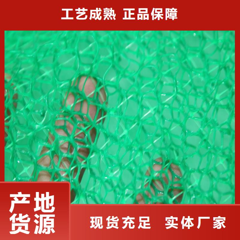 三維土工網墊-EM3三維固土網墊