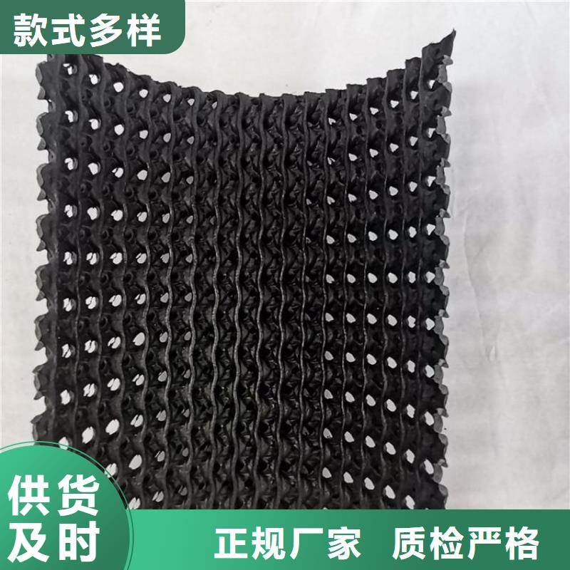 土工格栅视频-土工格栅(鼎诺)覆盖地域河南省三门峡市渑池|义马|开封|洛阳|安阳|许昌|平顶山|驻马店